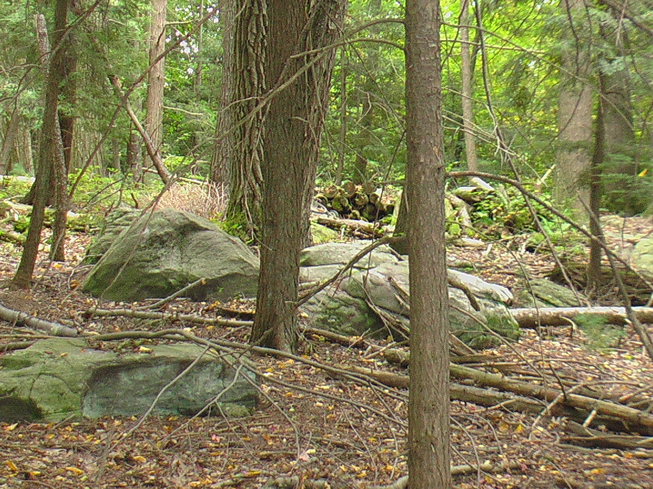 Image: Interior space, there are large boulders, stacked wood in the background and start of lower topography.
